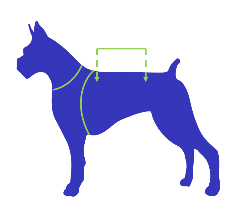 Picture showing how to choose and how to determine the right size of a life jacket for dogs