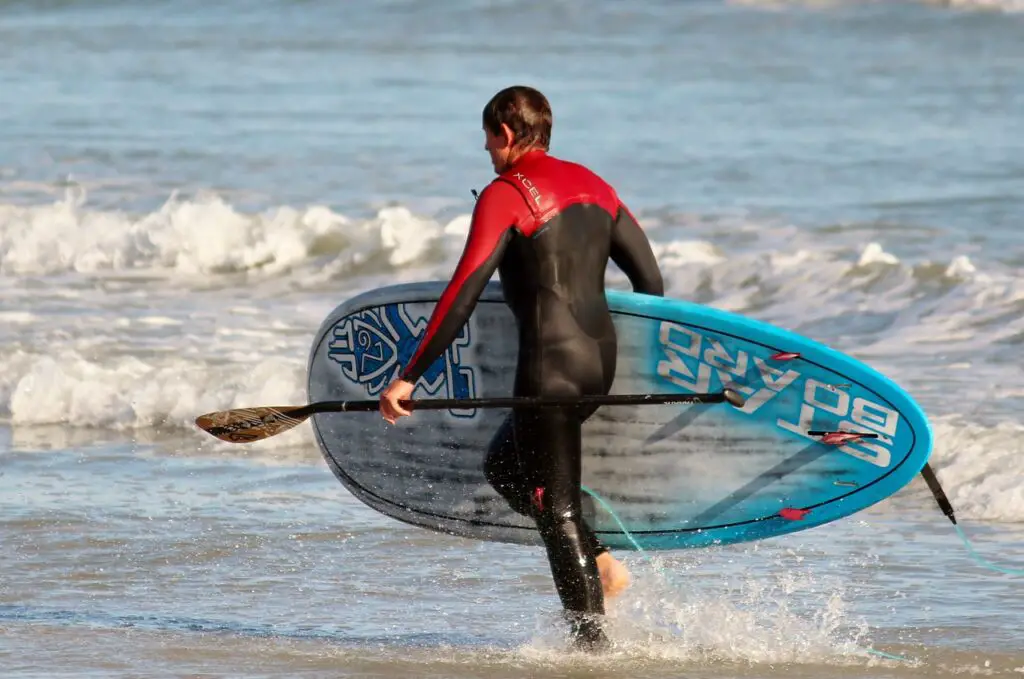 surfer, stand up paddling, sea-816985.jpg