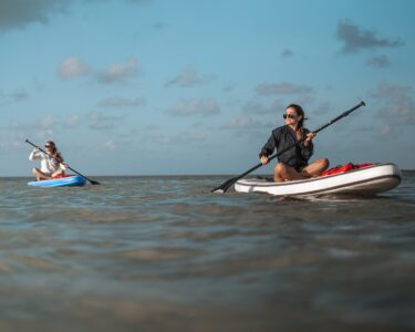 paddle boards, paddling, sea-6342940.jpg