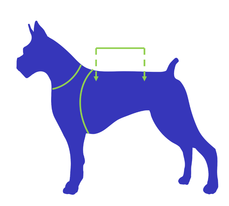 Bild Grafik die erklärt, wie man die richtige Grösse einer Hundeschwimmweste bestimmt. Grafik die zeigt auf was man bei einer Schwimmweste für Hunde achten muss. Schwimmweste für Hunde für Stand Up Paddling mit Hund