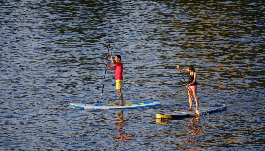 padding, stand up paddling, stand up paddle surfing-3649324.jpg