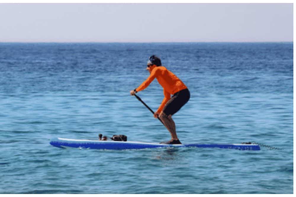 Mann beim Paddeln auf einem Stand Up Paddle Board