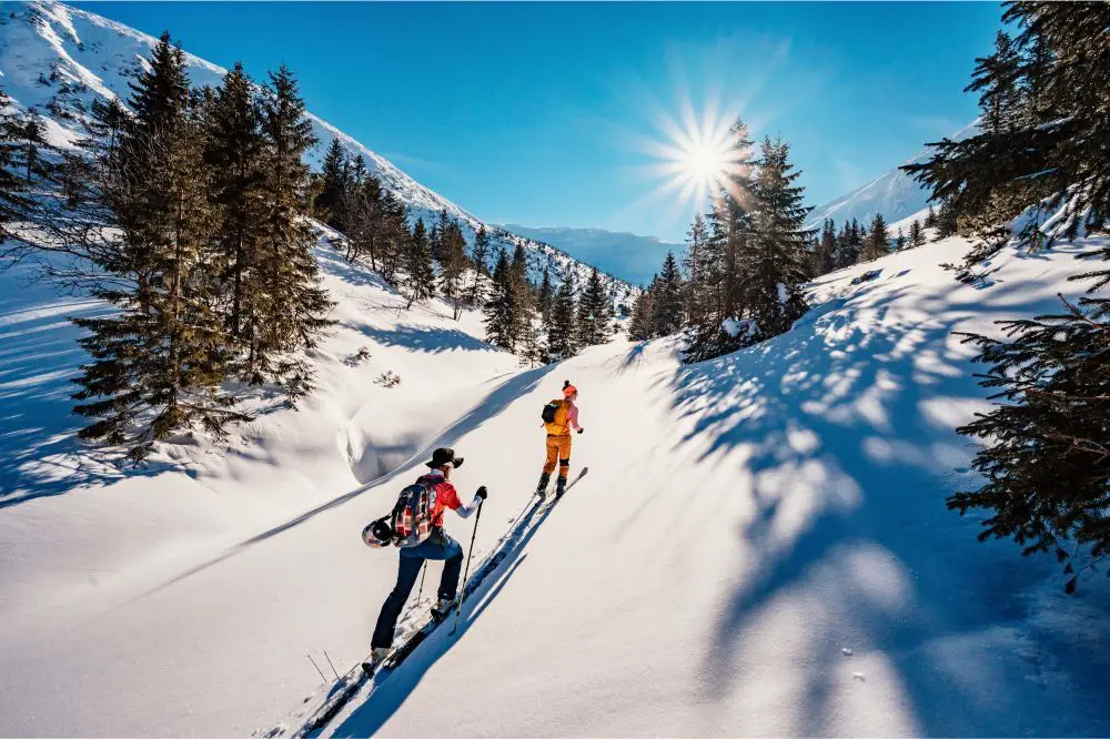 Ski touring in alpine landscape with snowy trees