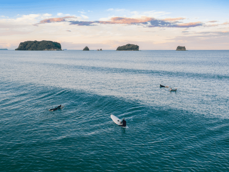 A group of surfers paddling out on gentle waves for some saltwater therapy